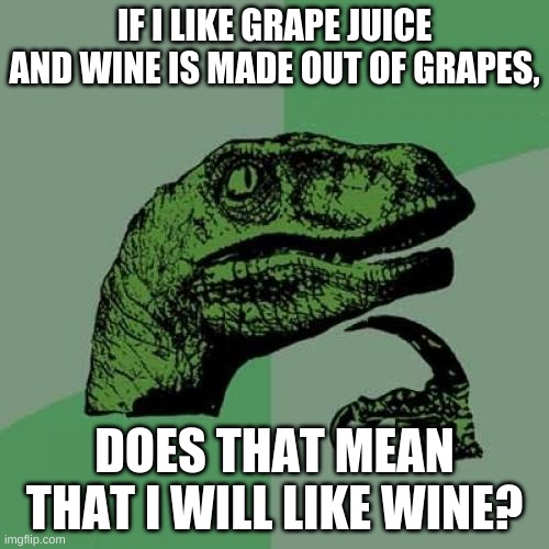 Philosoraptor Meme | IF I LIKE GRAPE JUICE AND WINE IS MADE OUT OF GRAPES, DOES THAT MEAN THAT I WILL LIKE WINE? | image tagged in memes,philosoraptor | made w/ Imgflip meme maker