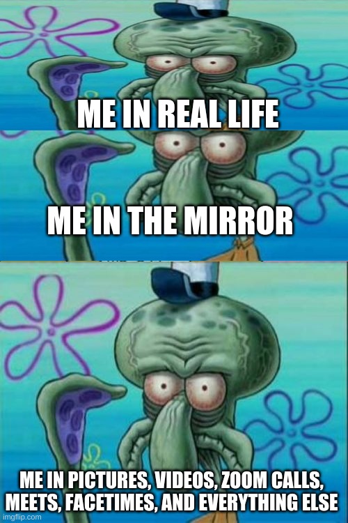 ME IN THE MIRROR ME IN REAL LIFE ME IN PICTURES, VIDEOS, ZOOM CALLS, MEETS, FACETIMES, AND EVERYTHING ELSE | made w/ Imgflip meme maker