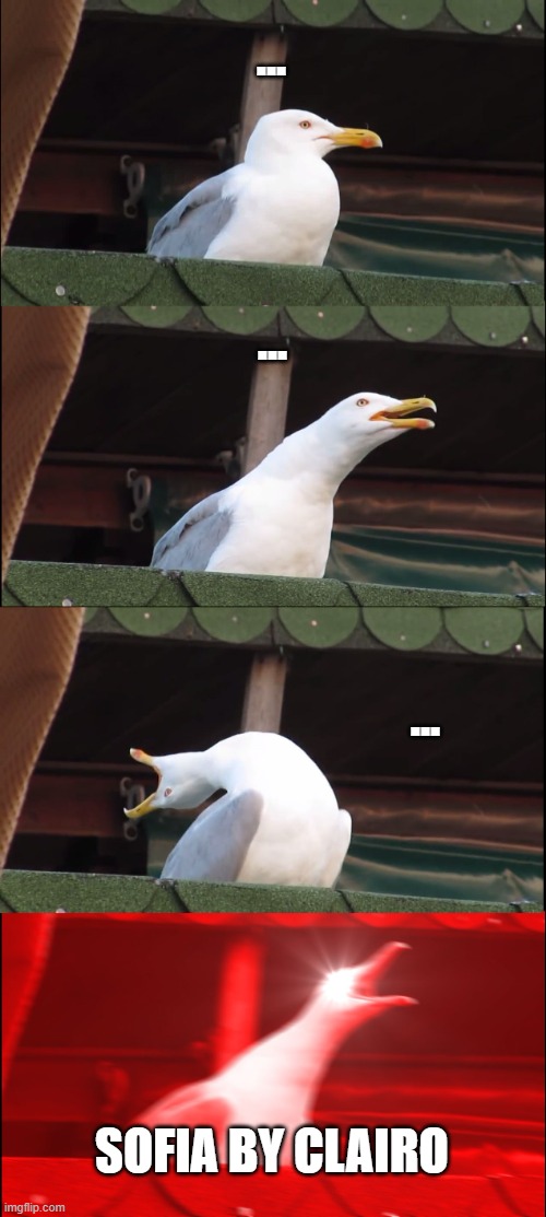 Inhaling Seagull | ... ... ... SOFIA BY CLAIRO | image tagged in memes,inhaling seagull | made w/ Imgflip meme maker