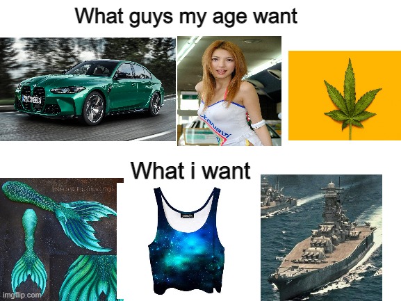 meirl | What guys my age want; What i want | image tagged in blank white template | made w/ Imgflip meme maker