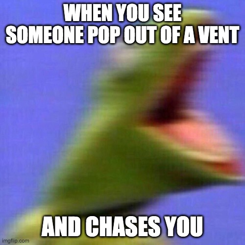 kermit screaming | WHEN YOU SEE SOMEONE POP OUT OF A VENT; AND CHASES YOU | image tagged in kermit screaming | made w/ Imgflip meme maker