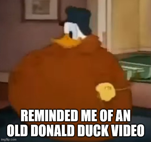 REMINDED ME OF AN OLD DONALD DUCK VIDEO | made w/ Imgflip meme maker