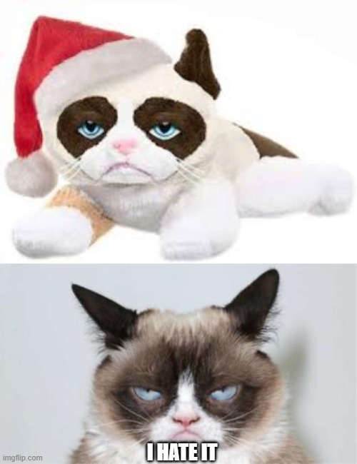 grumpy cat plush | I HATE IT | image tagged in grumpy cat,plush,haters | made w/ Imgflip meme maker