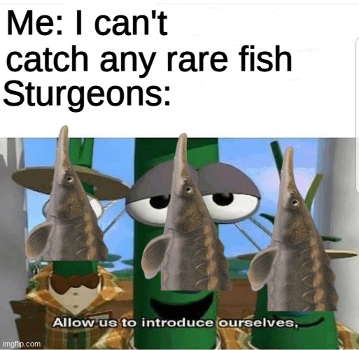 They aren't rare for me for some reason | Me: I can't catch any rare fish; Sturgeons: | image tagged in animal crossing | made w/ Imgflip meme maker