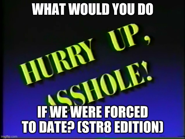Hurry up, Asshole! | WHAT WOULD YOU DO; IF WE WERE FORCED TO DATE? (STR8 EDITION) | image tagged in hurry up asshole | made w/ Imgflip meme maker
