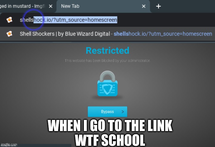 WHEN I GO TO THE LINK
WTF SCHOOL | made w/ Imgflip meme maker