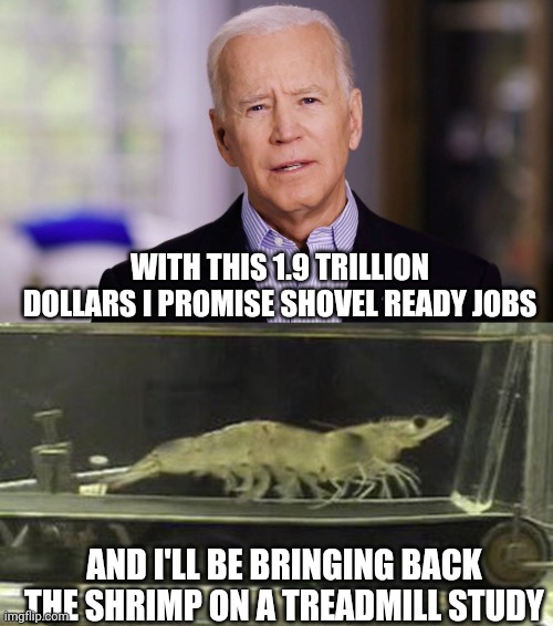 WITH THIS 1.9 TRILLION DOLLARS I PROMISE SHOVEL READY JOBS; AND I'LL BE BRINGING BACK THE SHRIMP ON A TREADMILL STUDY | image tagged in joe biden 2020 | made w/ Imgflip meme maker