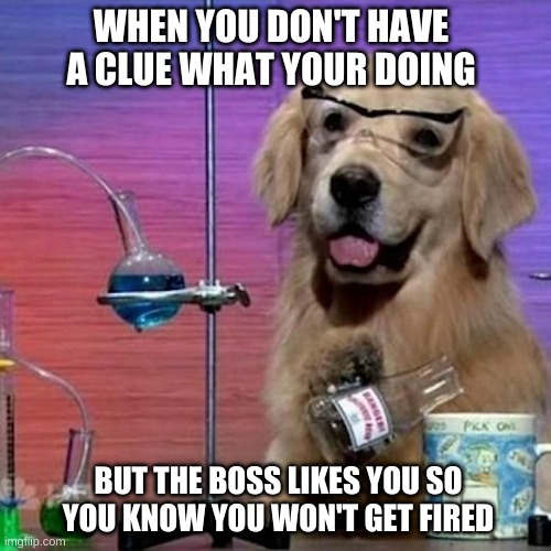 I Have No Idea What I Am Doing Dog Meme | WHEN YOU DON'T HAVE A CLUE WHAT YOUR DOING; BUT THE BOSS LIKES YOU SO YOU KNOW YOU WON'T GET FIRED | image tagged in memes,i have no idea what i am doing dog | made w/ Imgflip meme maker