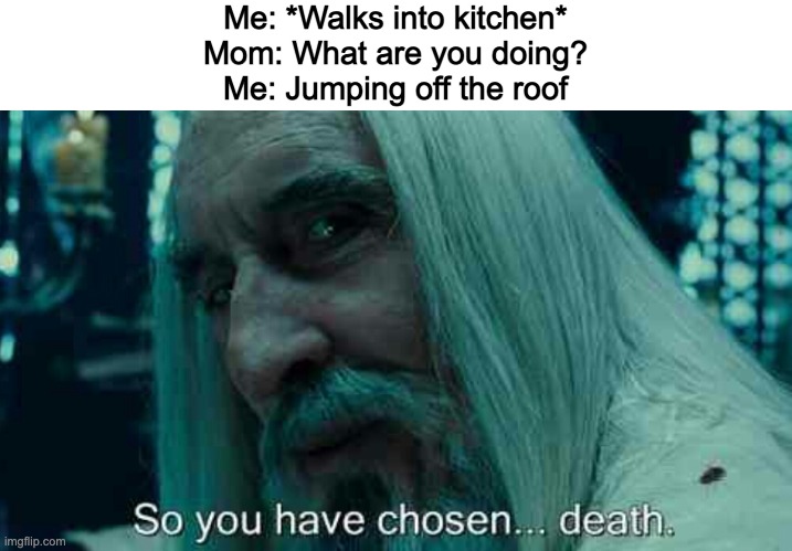 ooh you gon get it. | Me: *Walks into kitchen*

Mom: What are you doing?

Me: Jumping off the roof | image tagged in so you have chosen death | made w/ Imgflip meme maker