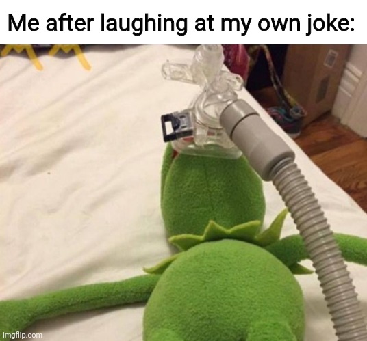 Nearly dying of laughter | Me after laughing at my own joke: | image tagged in memes,fun | made w/ Imgflip meme maker