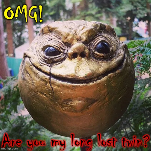 OMG! Are you my long lost twin? | made w/ Imgflip meme maker