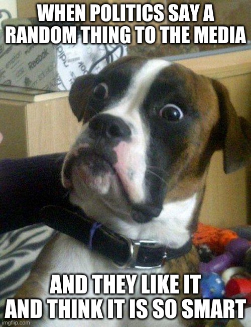 Blankie the Shocked Dog | WHEN POLITICS SAY A RANDOM THING TO THE MEDIA; AND THEY LIKE IT AND THINK IT IS SO SMART | image tagged in blankie the shocked dog | made w/ Imgflip meme maker