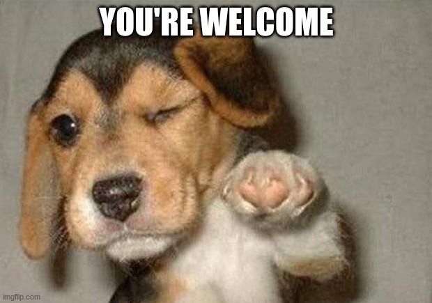 Winking Dog | YOU'RE WELCOME | image tagged in winking dog | made w/ Imgflip meme maker