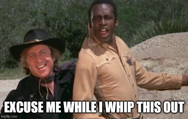 Blazing Saddles | EXCUSE ME WHILE I WHIP THIS OUT | image tagged in blazing saddles | made w/ Imgflip meme maker