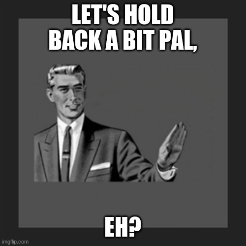 No | LET'S HOLD BACK A BIT PAL, EH? | image tagged in no | made w/ Imgflip meme maker