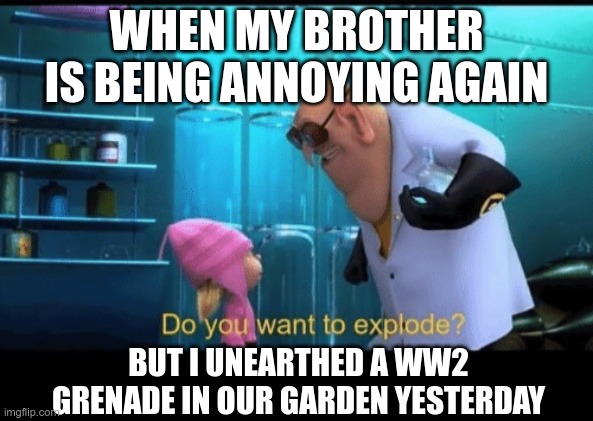 Do You Want To Explode? | WHEN MY BROTHER IS BEING ANNOYING AGAIN; BUT I UNEARTHED A WW2 GRENADE IN OUR GARDEN YESTERDAY | image tagged in do you want to explode | made w/ Imgflip meme maker