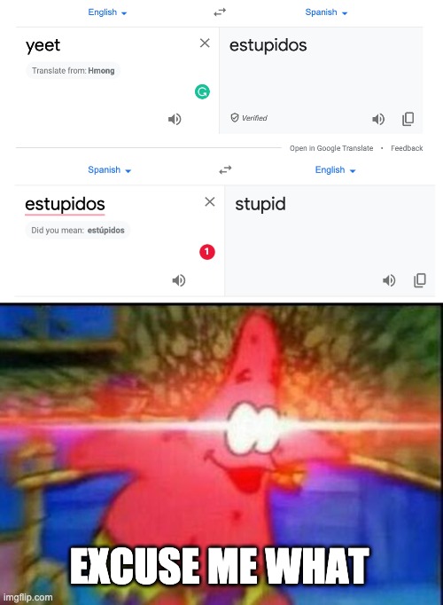EXCUSE ME WHAT | image tagged in nani | made w/ Imgflip meme maker
