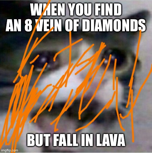 Whyyyy | WHEN YOU FIND AN 8 VEIN OF DIAMONDS; BUT FALL IN LAVA | image tagged in crying cat,minecraft,diamonds | made w/ Imgflip meme maker