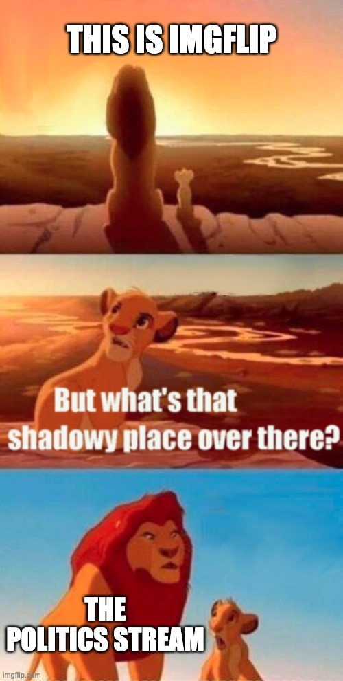 Simba Shadowy Place | THIS IS IMGFLIP; THE POLITICS STREAM | image tagged in memes,simba shadowy place | made w/ Imgflip meme maker