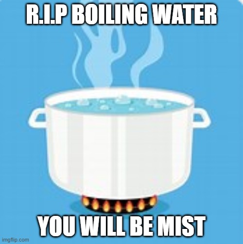 Boiling water lol | R.I.P BOILING WATER; YOU WILL BE MIST | image tagged in chicken | made w/ Imgflip meme maker