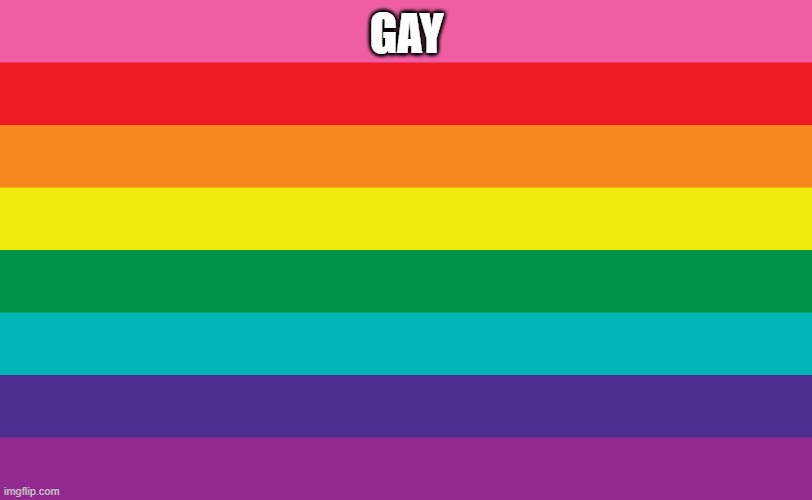 Gay flag | GAY | image tagged in gay flag | made w/ Imgflip meme maker