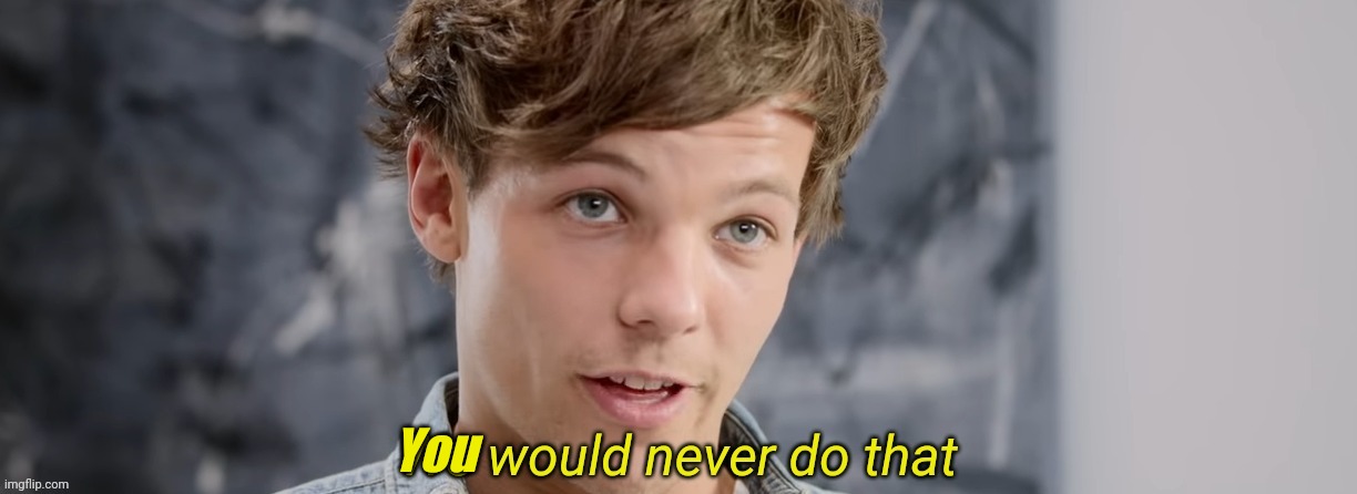 Louis Tomlinson We would never do that | You | image tagged in louis tomlinson we would never do that | made w/ Imgflip meme maker