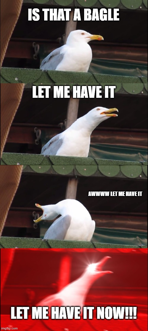 Inhaling Seagull | IS THAT A BAGLE; LET ME HAVE IT; AWWWW LET ME HAVE IT; LET ME HAVE IT NOW!!! | image tagged in memes,inhaling seagull | made w/ Imgflip meme maker