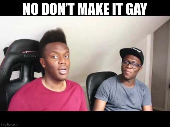 NO DON’T MAKE IT GAY | made w/ Imgflip meme maker