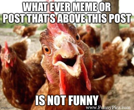 The post above me is Dum, XD | WHAT EVER MEME OR POST THAT’S ABOVE THIS POST; IS NOT FUNNY | image tagged in chicken | made w/ Imgflip meme maker