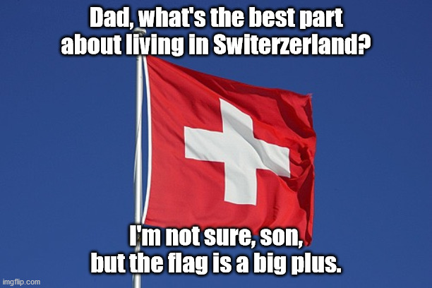 International Dad Joke | Dad, what's the best part about living in Switerzerland? I'm not sure, son, but the flag is a big plus. | image tagged in swiss flag,dad joke,pun,bad pun,humor,funny | made w/ Imgflip meme maker