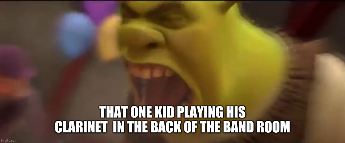 Shrek screaming | THAT ONE KID PLAYING HIS CLARINET  IN THE BACK OF THE BAND ROOM | image tagged in shrek screaming | made w/ Imgflip meme maker