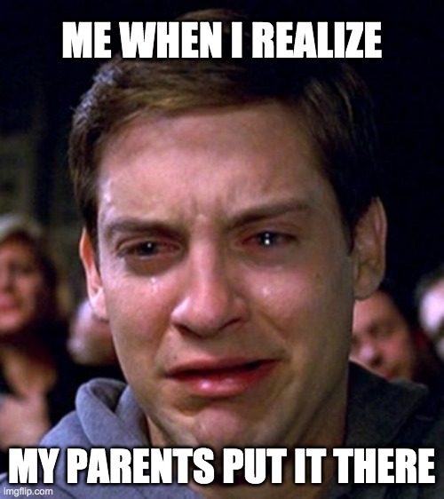 crying peter parker | ME WHEN I REALIZE MY PARENTS PUT IT THERE | image tagged in crying peter parker | made w/ Imgflip meme maker