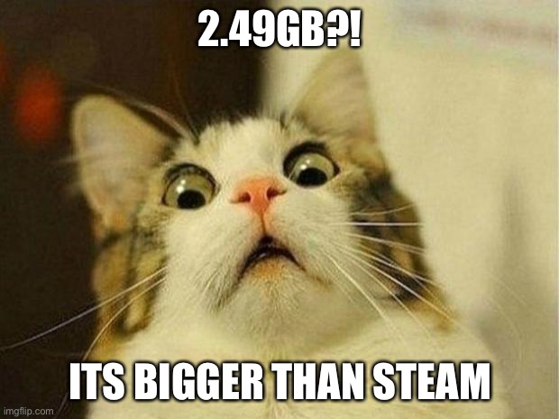 Scared Cat Meme | 2.49GB?! ITS BIGGER THAN STEAM | image tagged in memes,scared cat | made w/ Imgflip meme maker