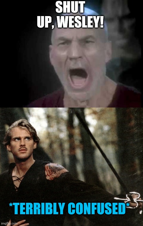 Wrong Wesley | SHUT UP, WESLEY! *TERRIBLY CONFUSED* | image tagged in picard four lights,wesley and princess buttercup face fire swamp the princess bride | made w/ Imgflip meme maker