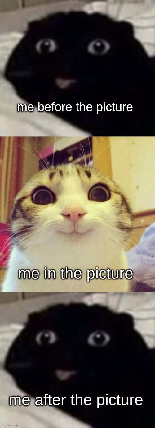 .. | me before the picture; me in the picture; me after the picture | image tagged in cute funny black cat,memes,smiling cat | made w/ Imgflip meme maker