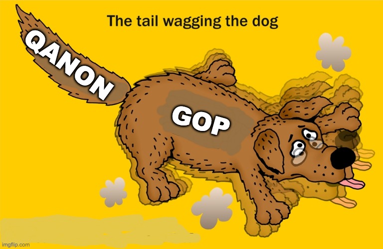 Where is the constituency? Where is the power? | QANON; GOP | image tagged in qanon,gop,dog | made w/ Imgflip meme maker