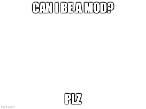 Blank White Template | CAN I BE A MOD? PLZ | image tagged in blank white template | made w/ Imgflip meme maker