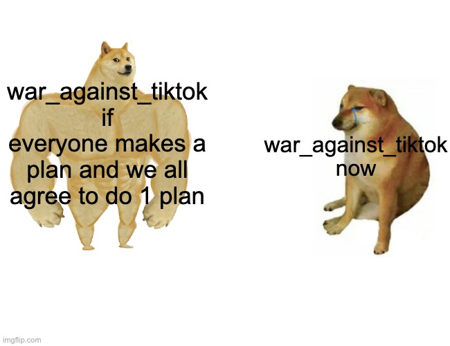 Buff Doge vs. Cheems Meme | war_against_tiktok if everyone makes a plan and we all agree to do 1 plan; war_against_tiktok now | image tagged in memes,buff doge vs cheems | made w/ Imgflip meme maker