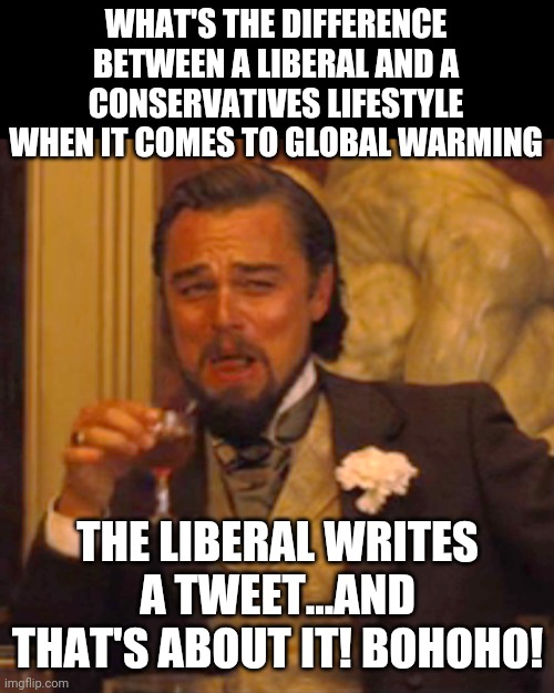 Laughing Leo | WHAT'S THE DIFFERENCE BETWEEN A LIBERAL AND A CONSERVATIVES LIFESTYLE WHEN IT COMES TO GLOBAL WARMING; THE LIBERAL WRITES A TWEET...AND THAT'S ABOUT IT! BOHOHO! | image tagged in memes,laughing leo | made w/ Imgflip meme maker