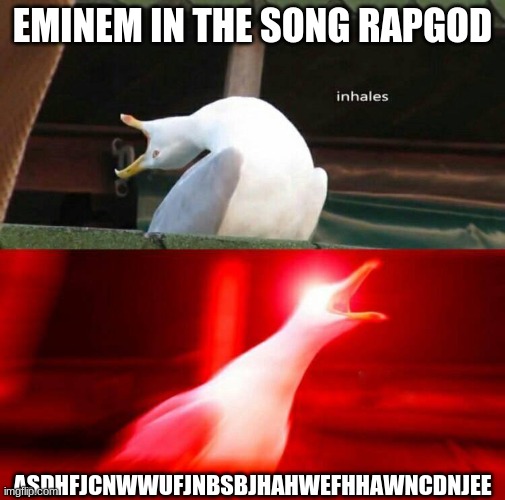 ree | EMINEM IN THE SONG RAPGOD; ASDHFJCNWWUFJNBSBJHAHWEFHHAWNCDNJEE | image tagged in inhaling seagull | made w/ Imgflip meme maker