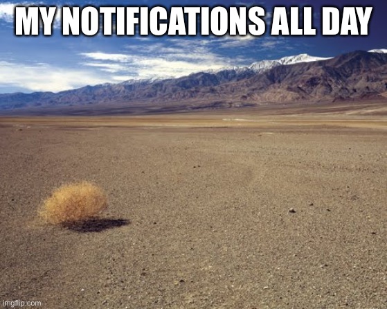 desert tumbleweed | MY NOTIFICATIONS ALL DAY | image tagged in desert tumbleweed | made w/ Imgflip meme maker