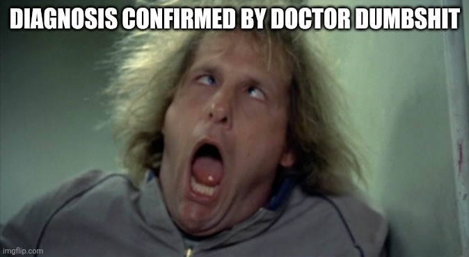 Scary Harry Meme | DIAGNOSIS CONFIRMED BY DOCTOR DUMBSHIT | image tagged in memes,scary harry | made w/ Imgflip meme maker