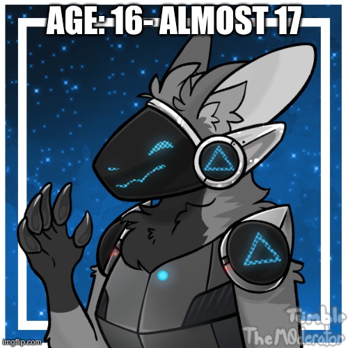 Age: | AGE: 16- ALMOST 17 | image tagged in kendle_the_protogen | made w/ Imgflip meme maker
