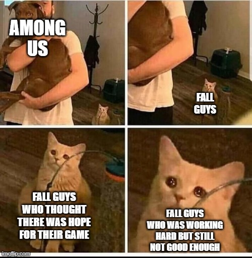 sad cat in background | AMONG US; FALL GUYS; FALL GUYS WHO THOUGHT THERE WAS HOPE FOR THEIR GAME; FALL GUYS WHO WAS WORKING HARD BUT STILL NOT GOOD ENOUGH | image tagged in sad cat in background,fall guys,among us,cats,meme | made w/ Imgflip meme maker