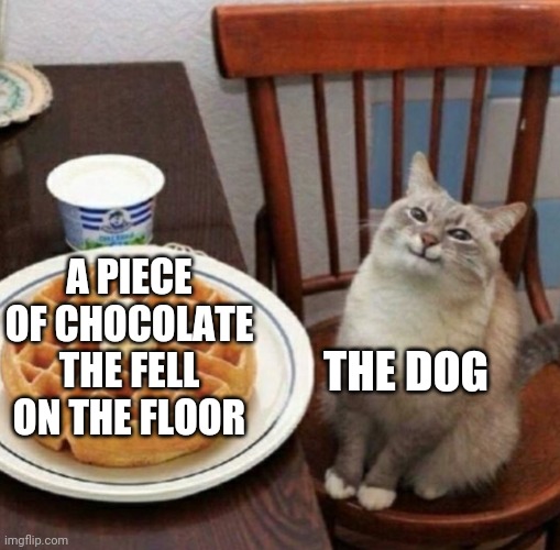 Cat likes their waffle | A PIECE OF CHOCOLATE THE FELL ON THE FLOOR; THE DOG | image tagged in cat likes their waffle | made w/ Imgflip meme maker