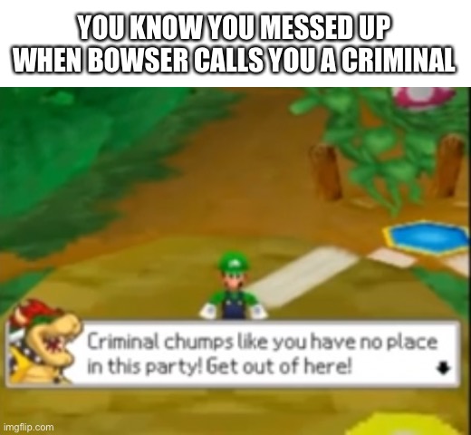 indeed | YOU KNOW YOU MESSED UP WHEN BOWSER CALLS YOU A CRIMINAL | image tagged in memes,funny,mario,bowser,criminal | made w/ Imgflip meme maker