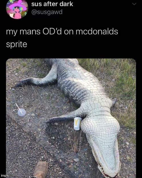 Me when 7 up | image tagged in mcdonalds,crocodile,od | made w/ Imgflip meme maker