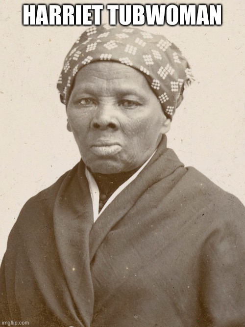 Tubman or Tubwoman | HARRIET TUBWOMAN | image tagged in dumb | made w/ Imgflip meme maker