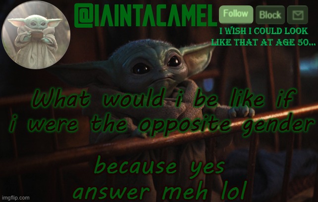iaintacamel | What would i be like if i were the opposite gender; because yes answer meh lol | image tagged in iaintacamel | made w/ Imgflip meme maker