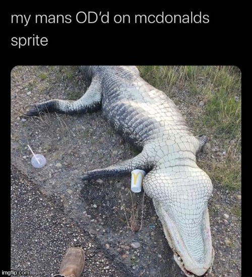 Me when 7 up | image tagged in crocodile,overdose on sprite,mcdonalds | made w/ Imgflip meme maker